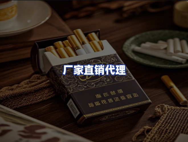 专业团队